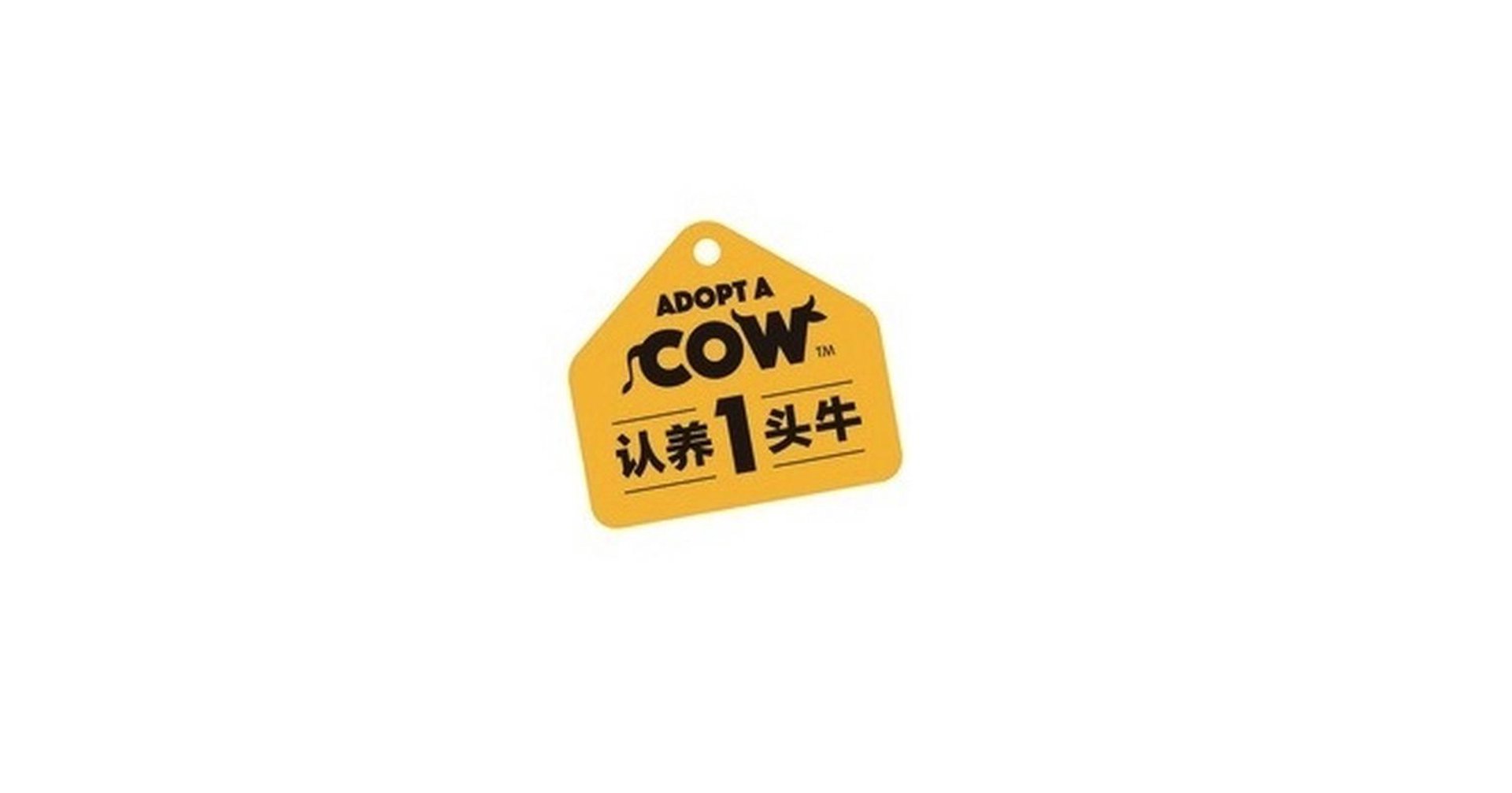 邦良德商贸